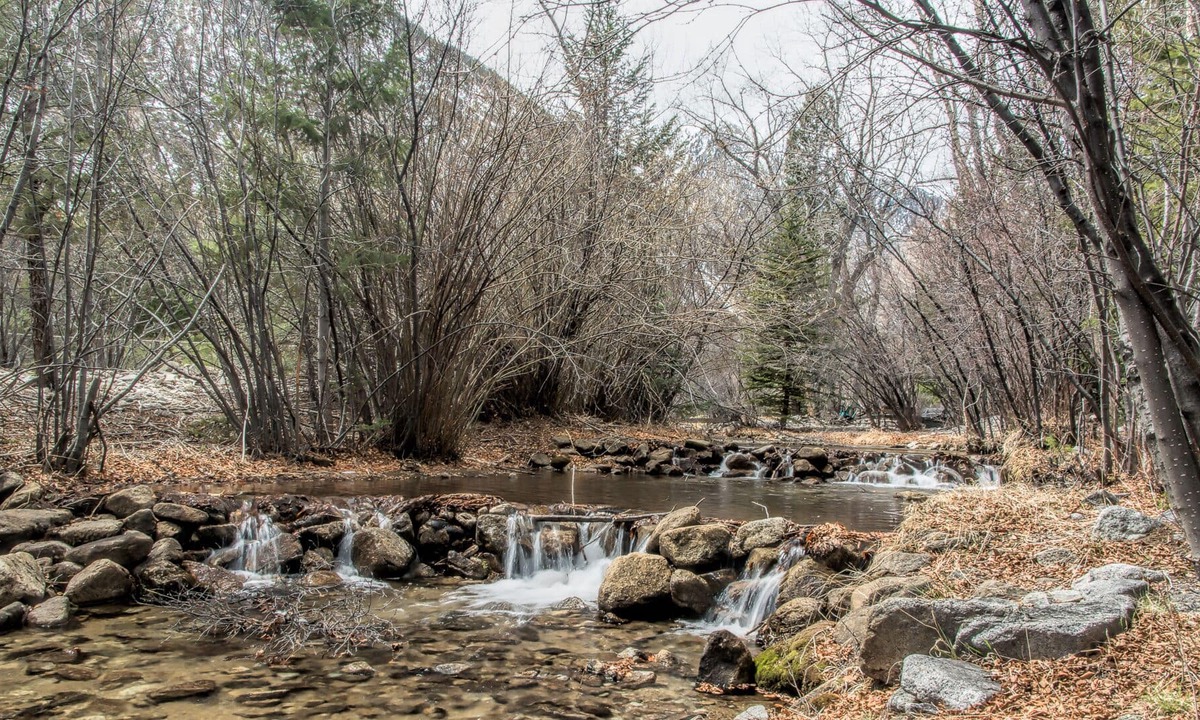 Nathrop Cabin | 4 BR/4BA En suite Cozy Creekside ~ Mountain Views ~ Hot Tub ~ Fishing ~ Wildlife