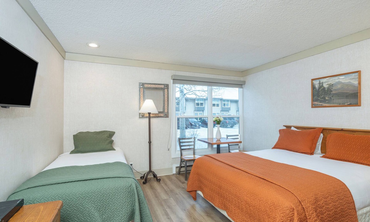 Telluride Hotel | Affordable Pet-Friendly Hotel Room With Great Location