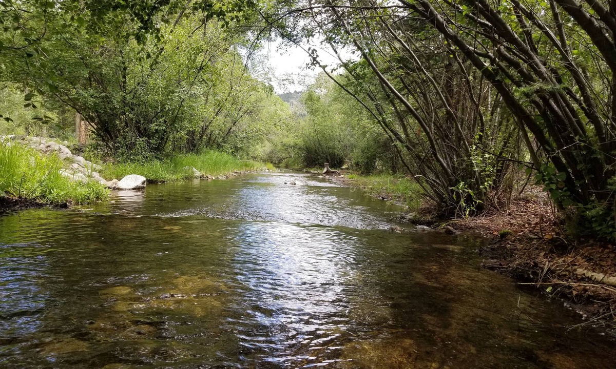Nathrop Cabin | Aspen Grove - spend some time by a creek! 3 bedrooms each with private entrance.