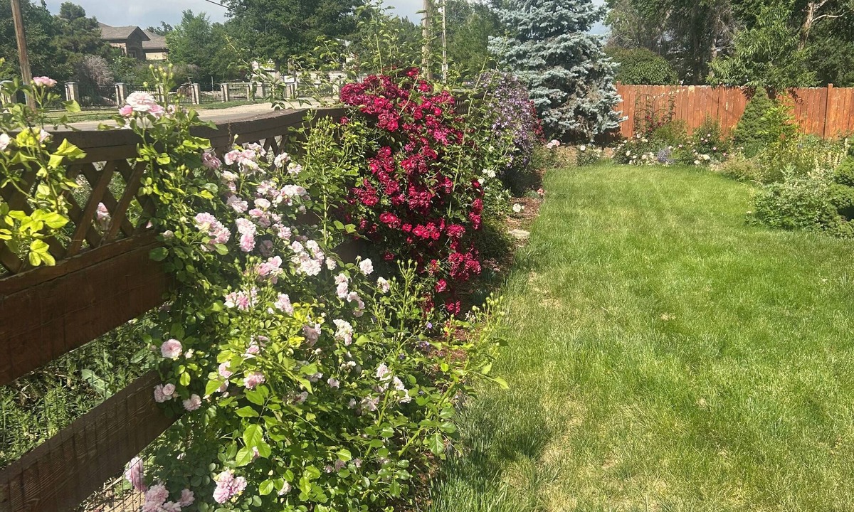 Arvada House | Brilliant 4-bedroom house with AC in Arvada! Family and Pet friendly,