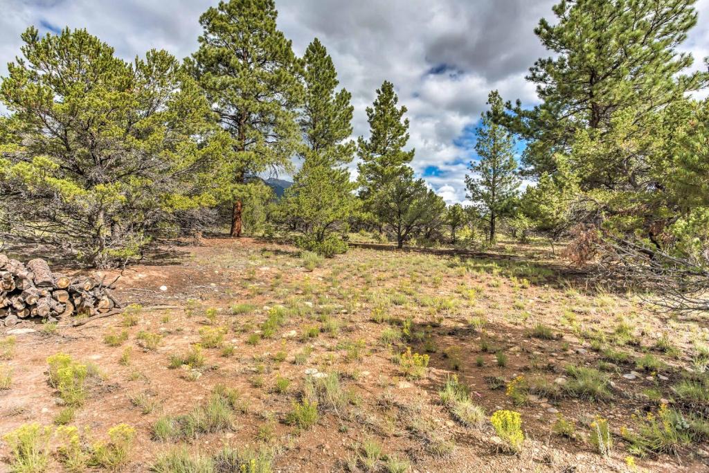 Buena Vista Apartment | Cozy Buena Vista Apartment < 4 Mi to Main Street!