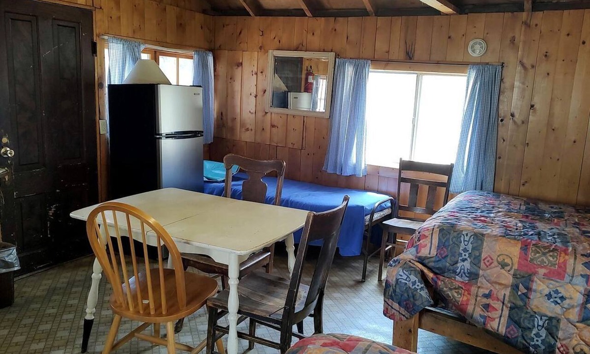 Bellvue Cabin | Cozy, Pet Friendly Cabin Deep in the Mountains for a Serene Getaway of Wilderness and Wildlife