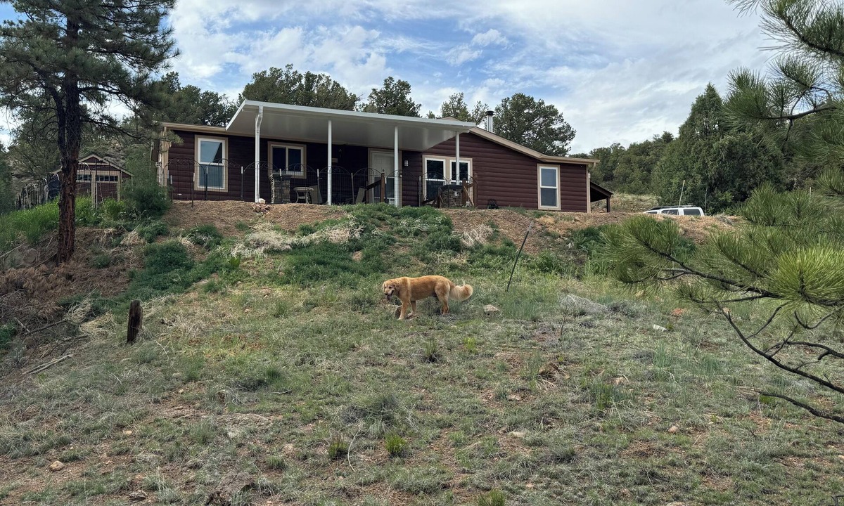 Cotopaxi House | Cozy private retreat in the Wet Mountains with 5 acres to roam on. Pet Friendly!