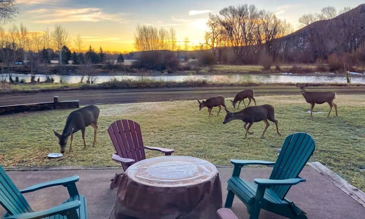 South Fork Cabin | Cutthroat Lodge on the River