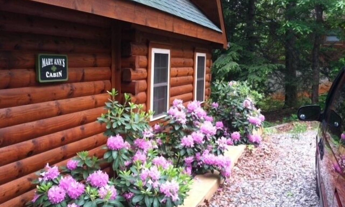 Lake Lure Cabin | Lake Lure is open!