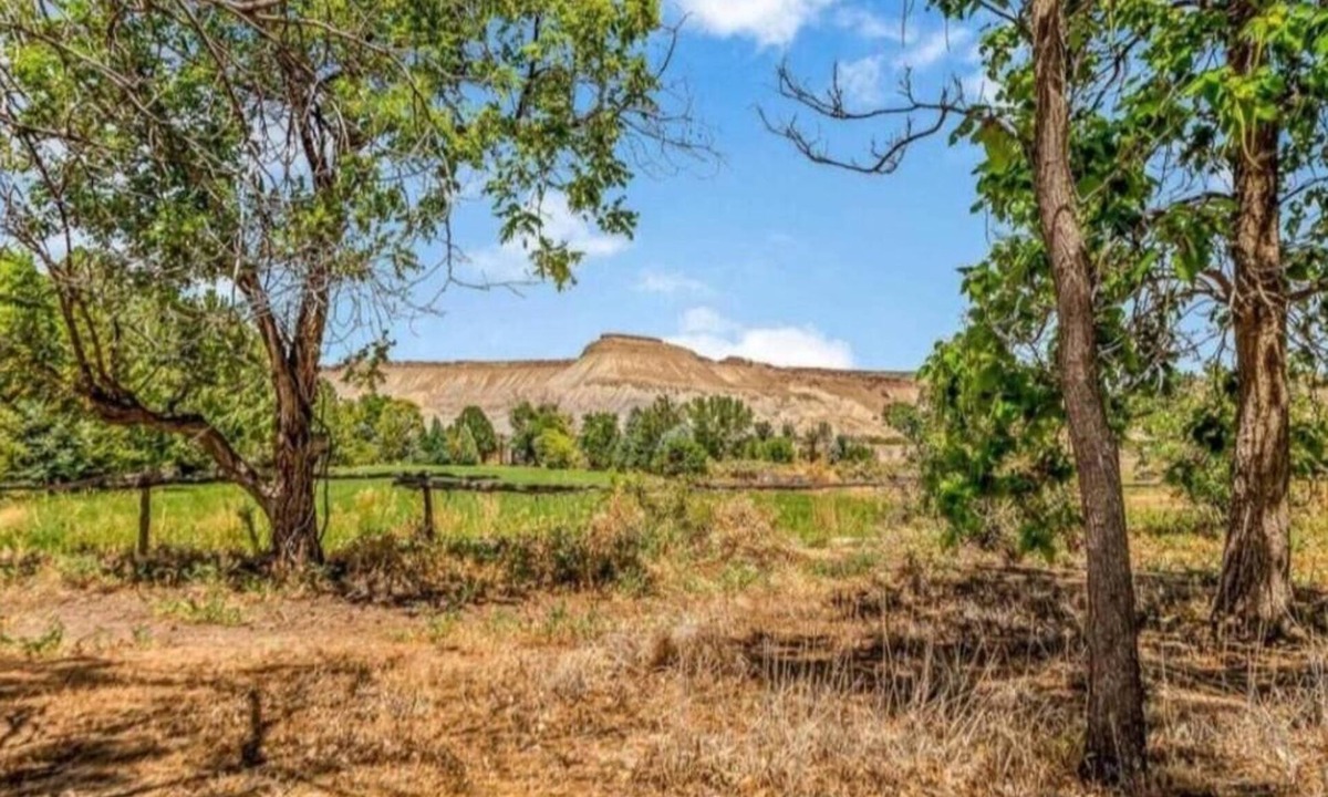 Palisade Cottage | Lavender Farm Cottage in Palisade Wine Country