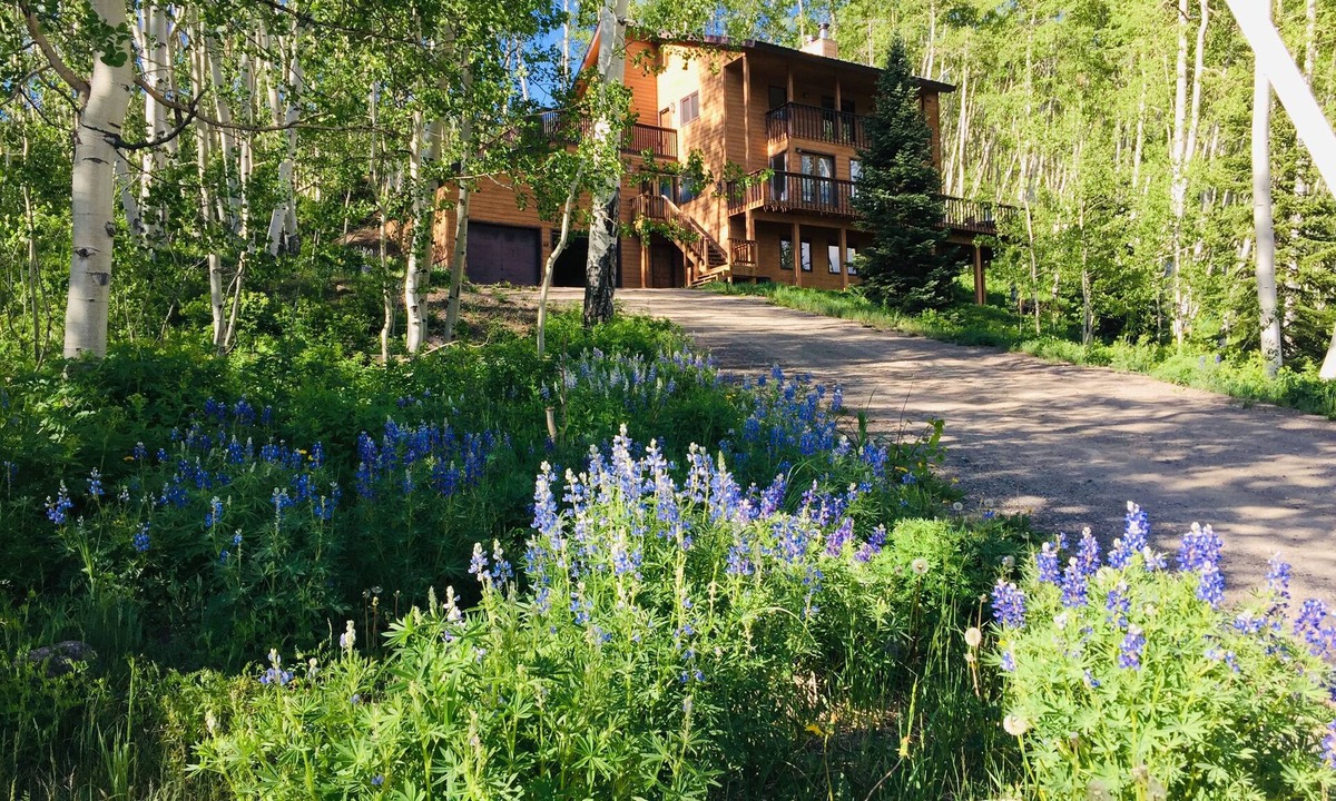 Mount Crested Butte Apartment | Mountain Modern- NEW- Wildflowers, backs up to Snodgrass Trail & VIEWS of Mt CB