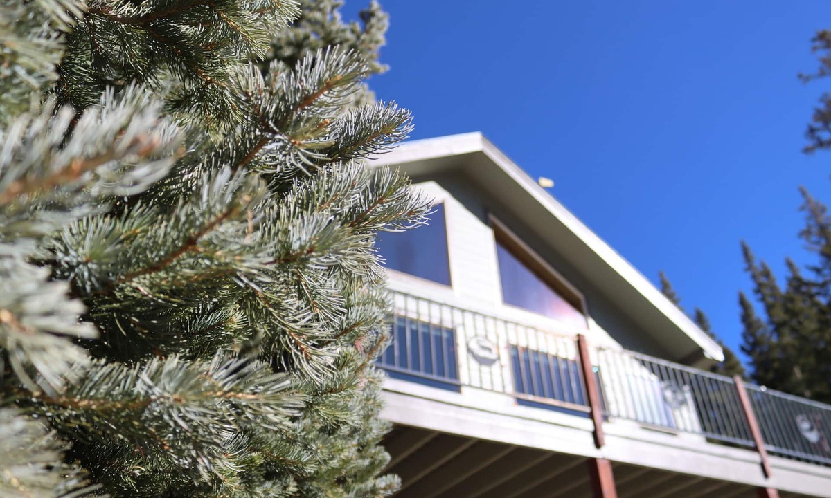 Alma Cabin | Riverfront Hot Tub & Starlink - South Platte Frontage, 15mi to Breck