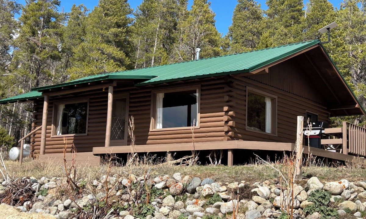 Almont Cabin | Taylor Park Overlook Cabin in Gunnison National Forest with Lake Views