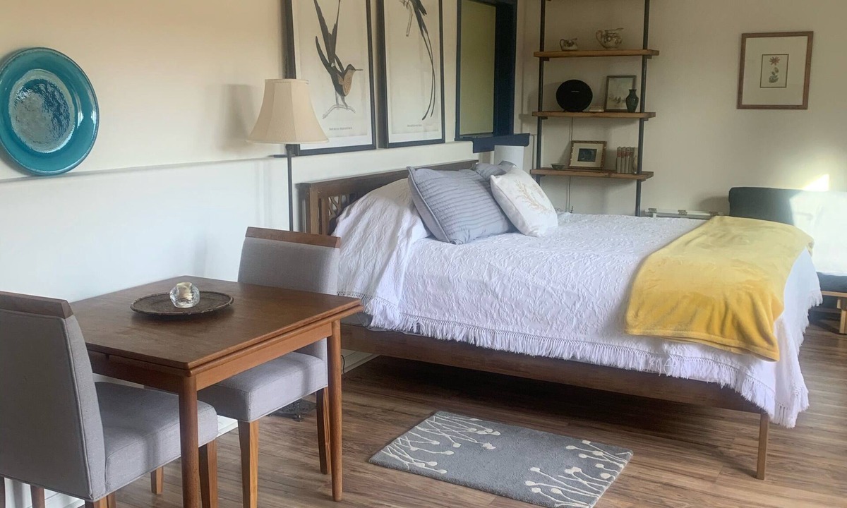 Telluride Apartment | TELLURIDE! QUIET, SERENE, ROMANTIC w BREATHTAKING VIEWS! 12 min TO TOWN