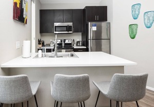 Kasa The Comma | Standard 1BD in Denver