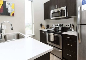 Kasa The Comma | Standard 1BD in Denver
