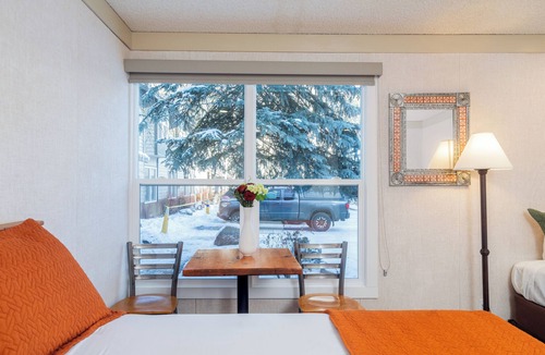 Telluride Hotel | Affordable Pet-Friendly Hotel Room With Great Location