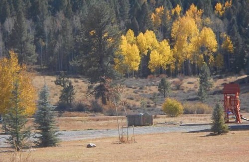 South Fork Cabin | Authentic 3BR Cabin w/ WiFi in the San Juan Mountains!