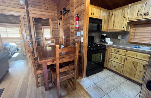 Almont Cabin | Beautiful 2 Bedroom Cabin on Taylor River with Private Hot Tub
