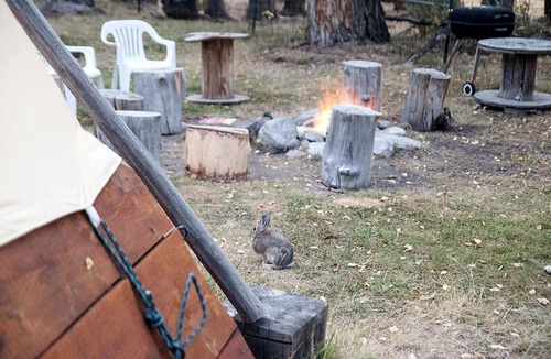 Nathrop Cabin | Beautiful Camping Cabin Rental with a Fire Pit in Nathrop, Colorado