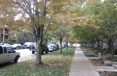 City Park West Apartment | Beautiful Retreat, Uptown walk Downtown, Convention Center & tourist attractions