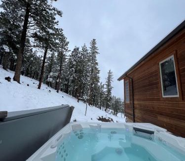 Evergreen House | BEST VIEWS! Luxury Mountain Home - Saltwater HotTub, Firepit, BBQ- Close to SKI, Red Rocks