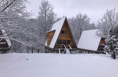 Rogers House | Black Gum Getaway-Cozy Forest A-frame Near Bentonville