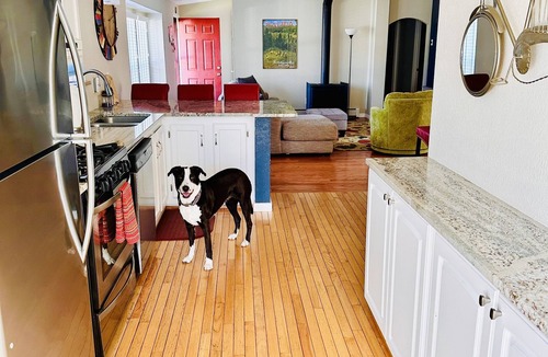 Salida House | Book NOW for Summer and Fall Events! Multi-family, pets allowed, HOT TUB!