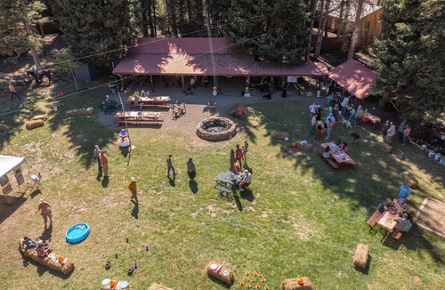 Almont Cabin | Colorado's Hidden Gem: Fish, Raft & Ride Horses in Scenic Mountain Setting