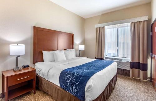 Sun Valley Hotel | Comfort Suites Near Denver Downtown