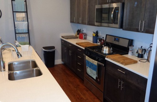 Salida Condo | Condo the Biker on the Arkansas river in the heart of Salida's Historic District