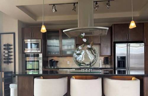 Civic Center Apartment | COZY LUXURIOUS UPSCALE 1-BEDROOM PENTHOUSE DOWNTOWN DENVER!