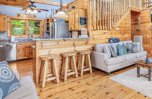Cosby Cabin | EPIC Outdoor Area*Secluded*FirePit*HotTub*GameRoom