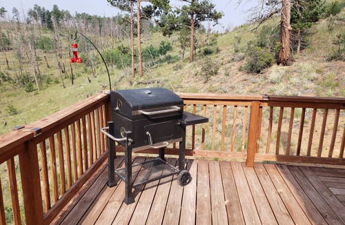 Teller County Cabin | Falcon Ridge Chalet-Woodland Park: WiFi & Views, Deck and Views of Pikes Peak