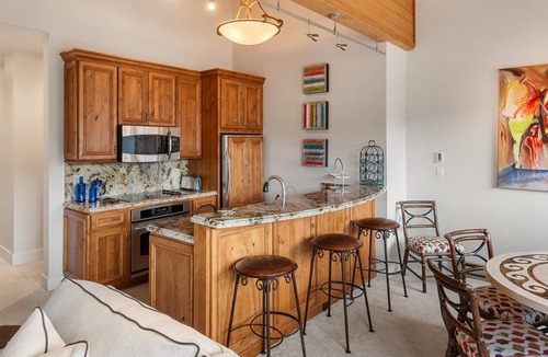Snowmass Village Condo | Gorgeous View, 3 minute shuttle to ski lifts Renovated- Great Location