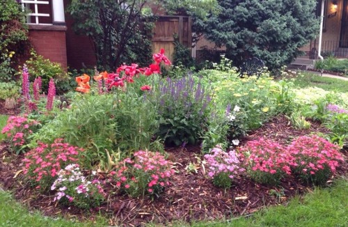 University Park House | Historic, Charming house in Observatory Park, minutes from Denver University