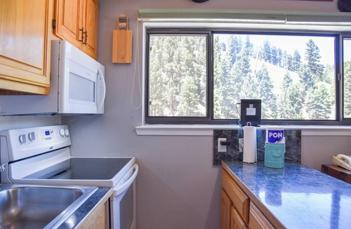 Red River Condo | Lift's West #205- Meyer's Amali-Inn