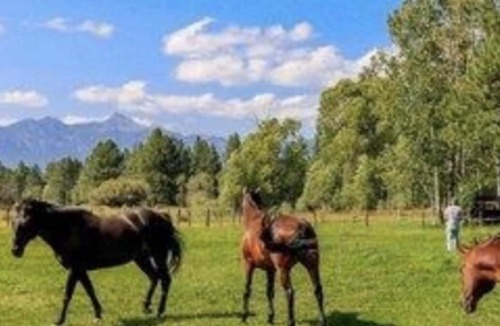Pagosa Springs Resort | Pagosa Springs CO WorldMark Pagosa Resort 2bed Deluxe 2 full baths & kitchen