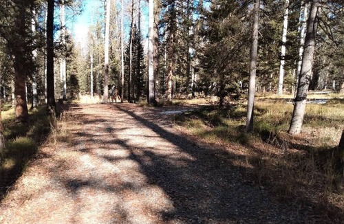 Cimarron RV Rental | Peaceful camping retreat in charming Arrowhead, perfect for nature lovers