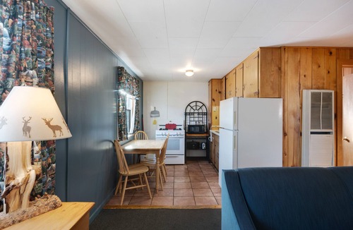 South Fork Cabin | Quaint dog-friendly log cabin with WiFi - prime hiking & skiing location
