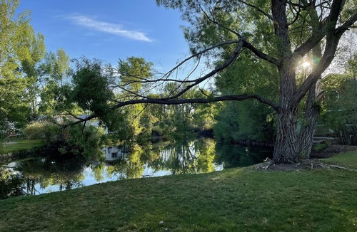 Gunnison Condo | Quiet Cozy Condo in town but walking distance to the Gunnison River