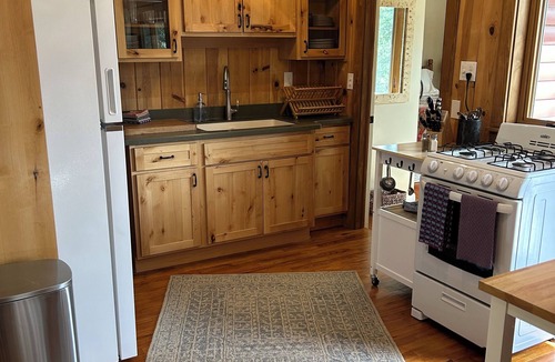 Pine Cabin | Quiet Mountain Cabin Escape - 1 hr from DIA! Gas firepit & Starlink Wifi