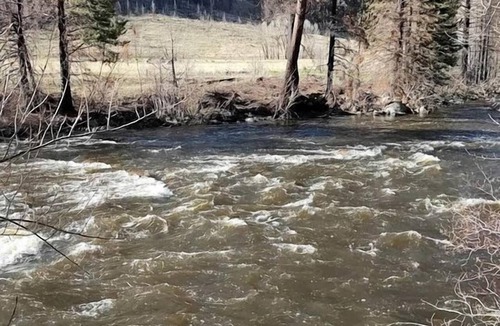 Bellvue Cabin | Simple, Pet Friendly Country Cabin in Poudre Canyon, Colorado