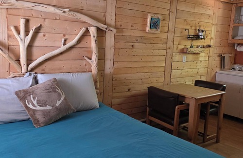 Cedaredge Cabin | Snuggle In with Your Pet in True Colorado Style Room with Queen bed/Kitchenette