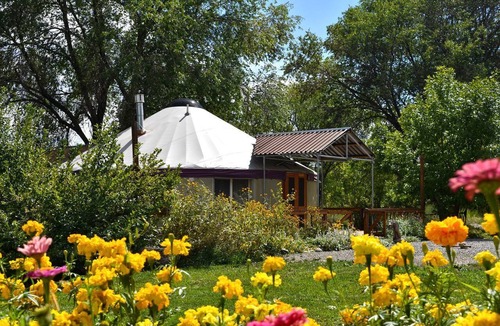 Lazear Cabin | Stunning Yurt Rental for a Secluded Getaway near the Grand Mesa National Forest, Colorado