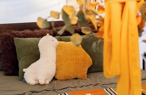 Sedalia RV Rental | The Shaggy Cow Yurt, fluffy cows, shaggy sheep, and burros!