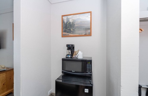 Telluride Hotel | Updated Pet-Friendly Hotel Room With King Bed