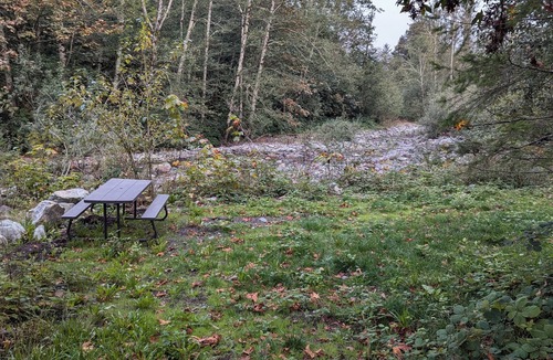 Gold Bar Cabin | Waterfront guest house with WiFi, AC, Hot tub, Sauna. Pet friendly.