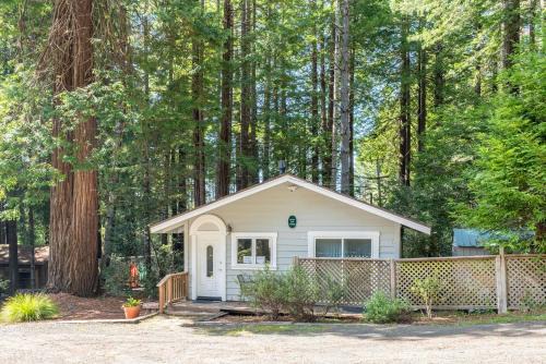 A - Green Tree Cottage
