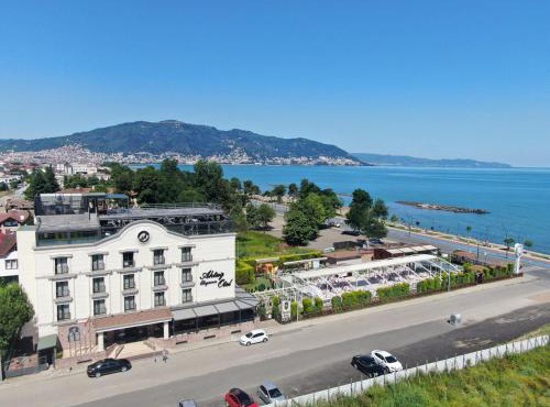 Aktug Elegance Hotel in Ordu