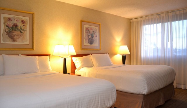 Amenida Residences in Calgary