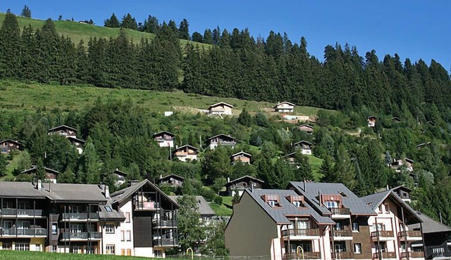 Andromède 2-pièces A24 by Interhome in Moléson-sur-Gruyères
