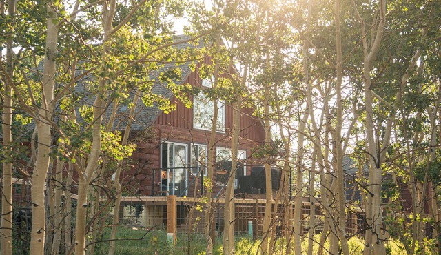 Aspen Grove Haus - Private Family & Pet Friendly Cabin - 3 bd/2ba - Starlink