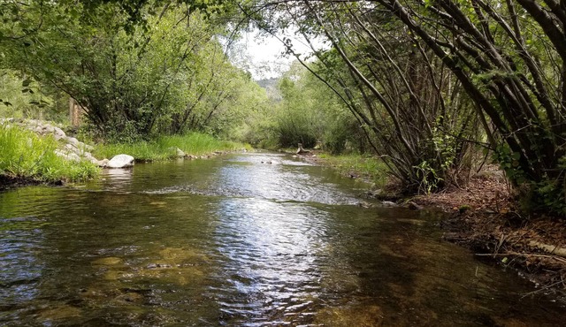Aspen Grove - spend some time by a creek! 3 bedrooms each with private entrance.